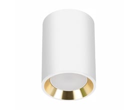 SpectrumLED Chloe Mini P20 rund downlight med hvidt hus og kant samt guldfarvet ring omkring fatningen.