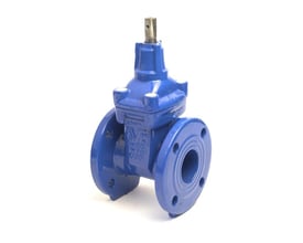 AVK skydeventil DN 65 med flange fra siden, viser ventilens kompakte design og blå finish.