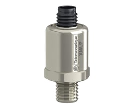 Schneider Electric XMLP tryktransmitter i rustfrit stål med 1/4"18NPT gevind og M12 stik, der måler 0-1000 psi.