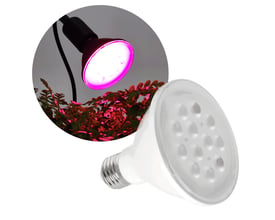 Hvid Kobi PLANTY LED-grolyspære med E27-sokkel og 9 W lyser lilla over grønne planter.