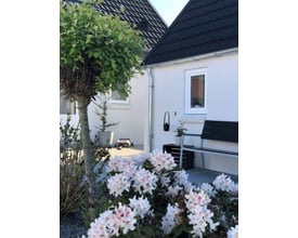 Plastmo 12" x 90° indvendig zink gering monteret på et hvidt hus ved siden af et træ med lyserøde blomster.