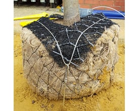 Byggros RF1P forankringssystem til rodklump med 4 meter wire, vist i jord med et stammefæste i metal.