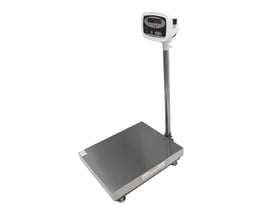 Diesella gulvvægt 60 kg med 10g inddeling, rustfri stålplade og LED display på hvid baggrund.