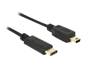Delock USB 2.0 kabel med USB-C han til Mini-B han stik, 2 meter lang og sort, vist med begge stik tydeligt fremhævet.