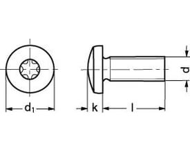 Teknisk tegning af syrefast M3X10 ISO 14583 maskinskrue med pan hoved og torx, viser dimensionerne d1, k, l og p.