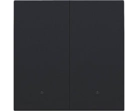 Niko smart 2-tryk tangent i mat sort med linse og diskret knap nederst på hver halvdel, neutral baggrund.