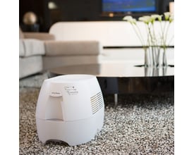 Stylies Orion luftfugter står på et blødt tæppe i en moderne stue med et sofabord og blomster i baggrunden.