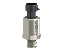 Schneider Electric XMLP tryktransmitter i rustfrit stål med Packard stik og 1/4" NPTF gevind, 600 psi måleområde.