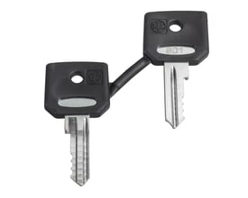 To Schneider Electric harmonisæt nøgler, type C, med sorte greb og metalblade, isoleret på hvid baggrund.