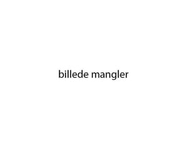 Standard placeholderbillede, der angiver at billedet mangler for Nilfisk Filterposer SQ 500-11.