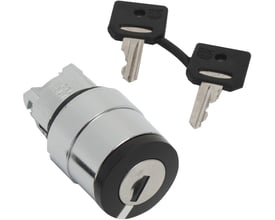 Schneider Electric ZB4BG210 nøglegreb med to identiske Ronis 458A nøgler, sat på grå baggrund.