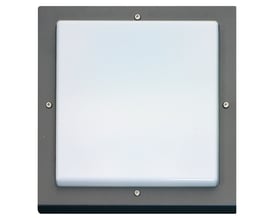 Vandalsikkert SG Armaturen Bassi vægarmatur i grafitgrå aluminium med hvid, opal skærm og fire synlige skruer.