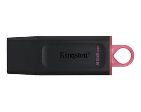 Kingston DataTraveler Exodia 256GB USB 3.2 Gen 1 flashdrev i sort og pink med synligt logo og lagerkapacitet.