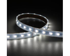 Ansell Lighting P-Cell 5 meter RGBTW LED strip med 24V spænding, vist med hvidt lys på en mørk baggrund.