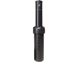 Rain Bird 5004PC & FC pop-up sprinkler med 3/4" muffe, vist i mørkegrå plast med logo på siden.