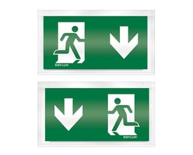 Esylux SLX 24 display symbol med to sider "Down" og nødudgangspiktogram på grøn baggrund, 24 meter læseafstand.
