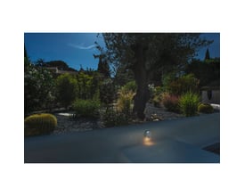 SLV Pema væglampe monteret på en facade med op/ned lysudsendelse, der oplyser en have med oliventræ og planter.