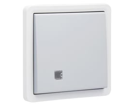 Niko afbryder med linse i grå og hvid, 2-polet, stænktæt IP55, med tydelig synlig linsedetalje på fronten.