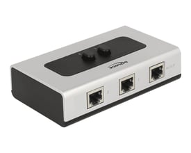 DeLock manuel RJ45 switch med to porte til 10/100/1000 Mbps netværk, vist på hvid baggrund.