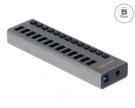 DeLock SuperSpeed USB hub i metal med 13 porte, der understøtter 5 Gbps dataoverførsel og har individuelle tænd/sluk-knapper.