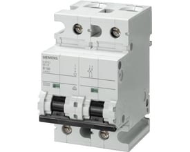 Siemens SENTRON-automatsikring med 2 poler, B-karakteristik og 125 A, set skråt forfra med to sorte vippekontakter.