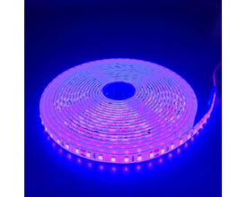 Lilla 5 meter LED strip med 120 LED pr. meter, 10W/m, 24V, IP65, oprullet på en spole i mørkt rum.