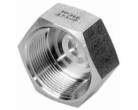 Indura rustfri (AISI 316) slutmuffe med 6-kant, 2" gevind til lukning af nippelender, velegnet til varmeanlæg.