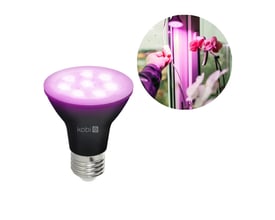 Kobi PLANTY LED-grolyspære med E27-sokkel, sort pære og lilla lys, vist med en orkidé under vækstlys.