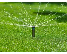 Gardena Pop-up sprinkler MD40 i aktion, sprinkleren vander en frodig grøn græsplæne med fine vandstråler.