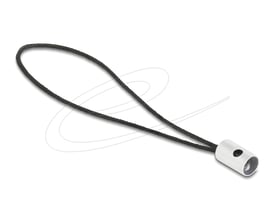 DeLock USB-C til Lightning-adapter med sort flettet løkke og sølvfarvet stikdel vist fra siden.