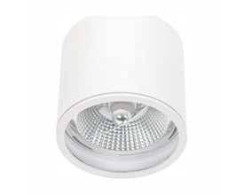 Hvid SpectrumLED Chloe udendørs loftlampe til AR111 GU10 med rund, dyb skærm og synlig reflektor, set skråt forfra.