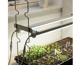 LEDlife Max-Grow 2.0 vækstsæt med to LED-lysskinner, der oplyser bakker med småplanter.
