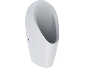 Geberit Tamina vægurinal i hvid porcelæn med elegant, svungen form og skjult afløb.