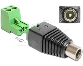 DeLock-adapter med DC-hunstik på 5,5 x 2,1 mm og grøn 2-polet terminalblok, vist skråt forfra.