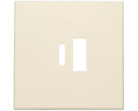 Niko afdækning i cream til USB-A og USB-C opladere, viser udskæringer til en USB-A og en USB-C port på hvid baggrund.