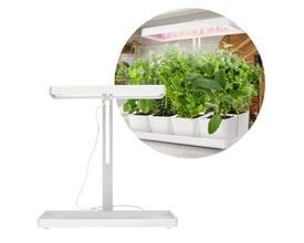 Hvidt Kobi BLOOM grolys til krydderurter med justerbar højde og 20 W, vist ved siden af frodige planter.