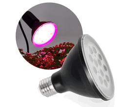 Sort Kobi PLANTY LED-grolyspære på 9 W med E27-sokkel, vist sammen med lilla lys over planter.