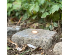 Enkel Light By Juul Cosmos chaussesten integreret i jorden, der skaber en blød lyscirkel i et grønt haveområde.
