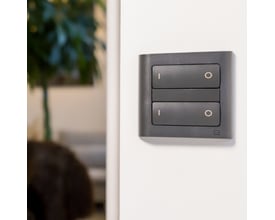 Koksgrå ZigBee tryk til lysstyring monteret på hvid væg, med to vippekontakter til On/Off funktion.