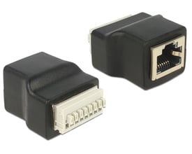 Sort DeLOCK RJ45-terminalbloksadapter med RJ45-hunstik og 8-polet terminalblok, vist fra begge ender.