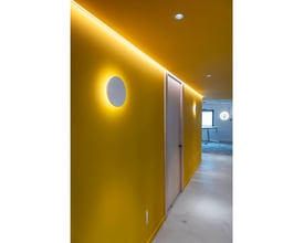 NUMINOS® DL M indendørs LED indbygningsspot monteret i en gul væg med 4000K lys, der skaber en varm atmosfære.