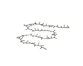 Konstsmide lyskæde cluster med 600 varmhvide LED'er på sort kabel, vist på hvid baggrund.