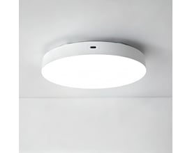 Hvid, rund, genopladelig LED-loftslampe med mikrobølgesensor, 6 W og CCT, monteret i loftet.