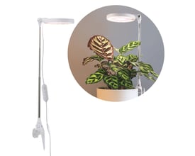 Kobi VERDI hvidt plantelys på spyd med lampehoved og ledning, vist ved en grøn potteplante.