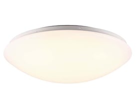 Nordlux Ask 41 plafond loftlampe i hvid, med en rund, matteret skærm og synlige skruer ved monteringen.
