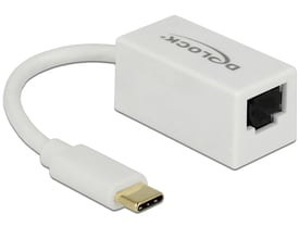 DeLock-adapter med USB-C-hanstik og Gigabit LAN-port, vist fra siden med et kort, hvidt kabel.