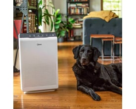 Winix luftrenser med HEPA-filter og PlasmaWave, stående på et trægulv ved siden af en sort hund i et hjemmemiljø.