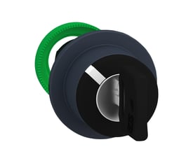 Schneider Electric nøglegreb flush med 2 faste positioner for Dom 8D1 nøgle, vist med grøn monteringsring.