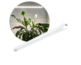 Hvidt Kobi GROWLY LED-vækstlysarmatur på 60 cm og 15 W, vist ved planter under det tændte lys.