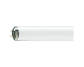 Philips MASTER Actinic BL TL-DK lysstofrør på 36 W og 604 mm, vist vandret med G13-stiftenden til venstre.